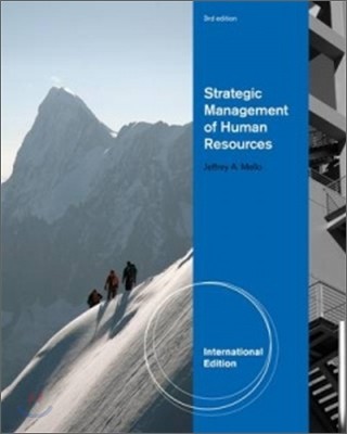 Strategic Management of Human Resources, 3/E