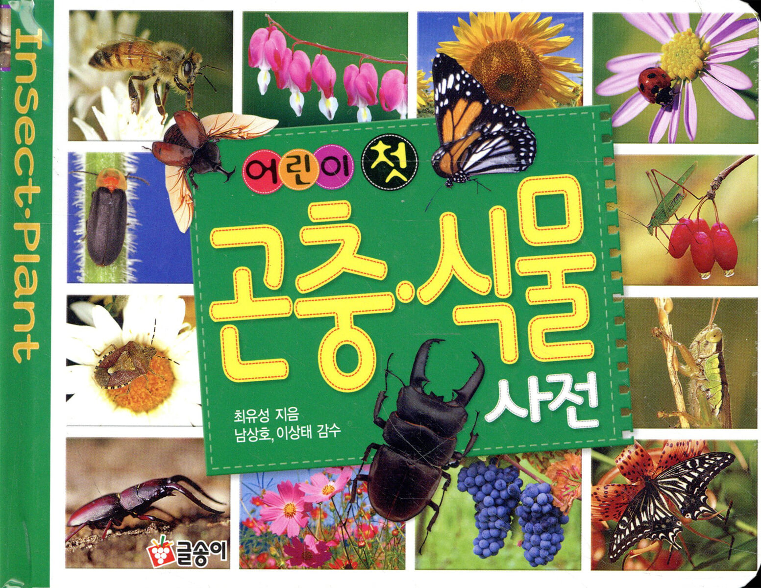 어린이 첫 곤충 식물 사전