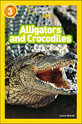 Alligators and Crocodiles