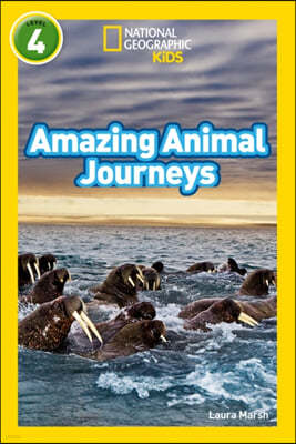 Amazing Animal Journeys