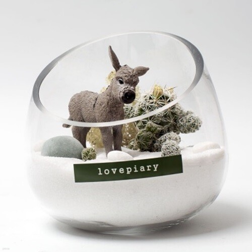 동키의 겨울나기 테라리움