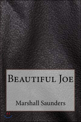 Beautiful Joe