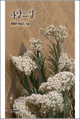 사랑느낌