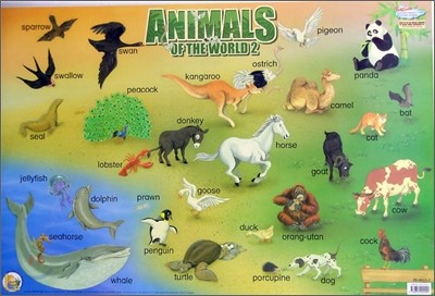 Animals of the World 2
