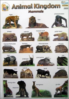 Animal Kingdom - Mammals