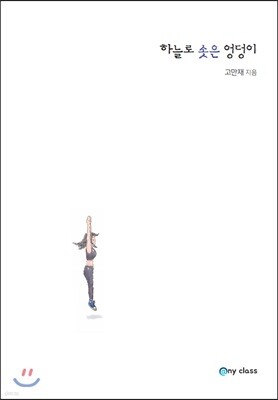 책 정보