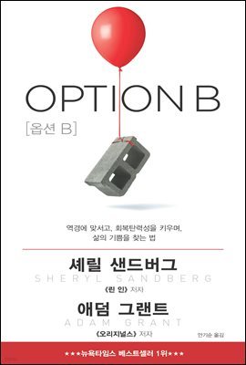 옵션 B