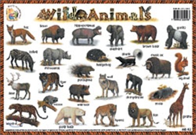Wild Animals , Amazing Facts!
