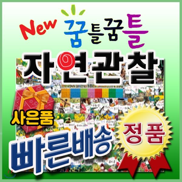 뉴꿈틀꿈틀 자연관찰 전84권/펜포함상품