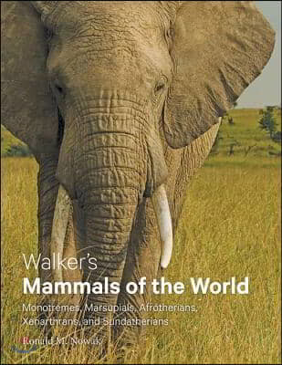 Walker's Mammals of the World: Monotremes, Marsupials, Afrotherians, Xenarthrans, and Sundatherians