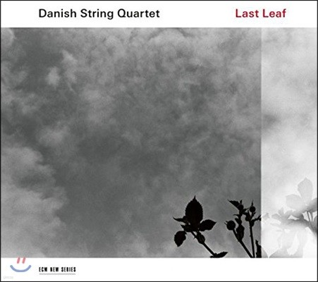Danish String Quartet 덴마크 민속음악 연주집 - 마지막 잎새 (Last Leaf)