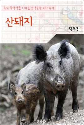 산돼지