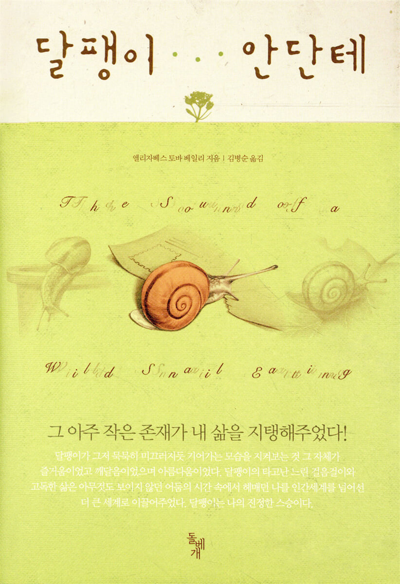 달팽이 안단테