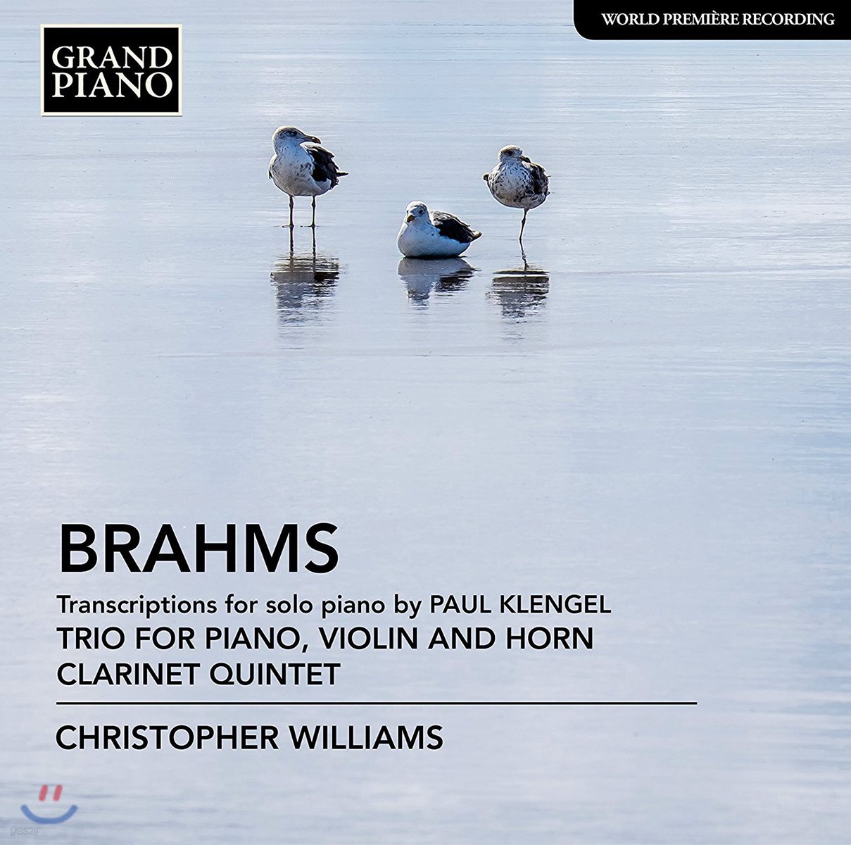 Christopher Williams 브람스: 바이올린, 혼, 피아노를 위한 삼중주, 클라리넷 오중주 [피아노 편곡] (Brahms: Transcriptions For Piano By P. Klengel)