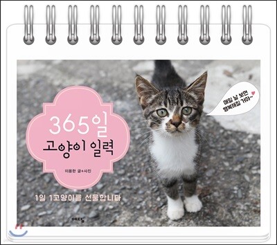 365일 고양이 일력