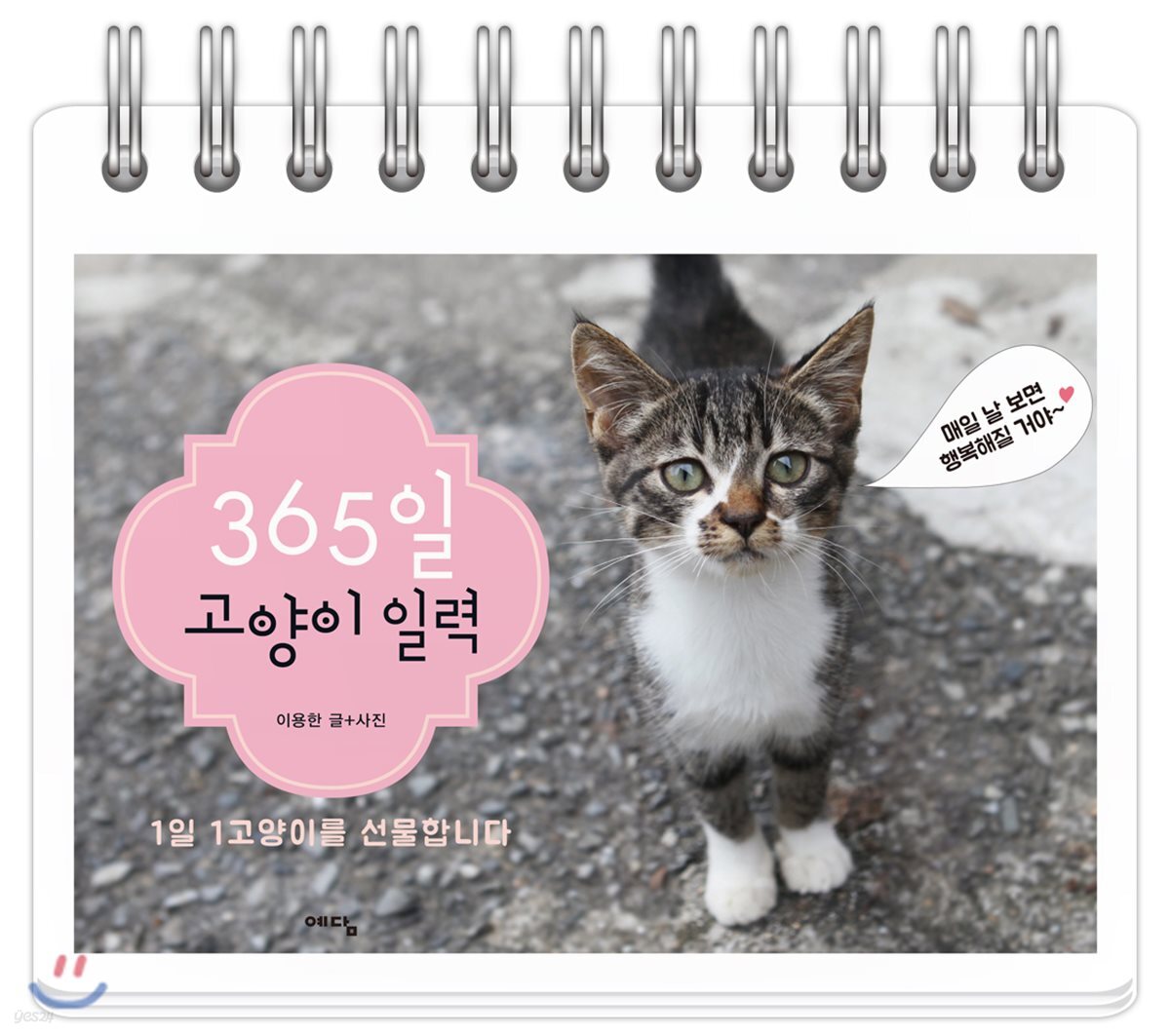 365일 고양이 일력