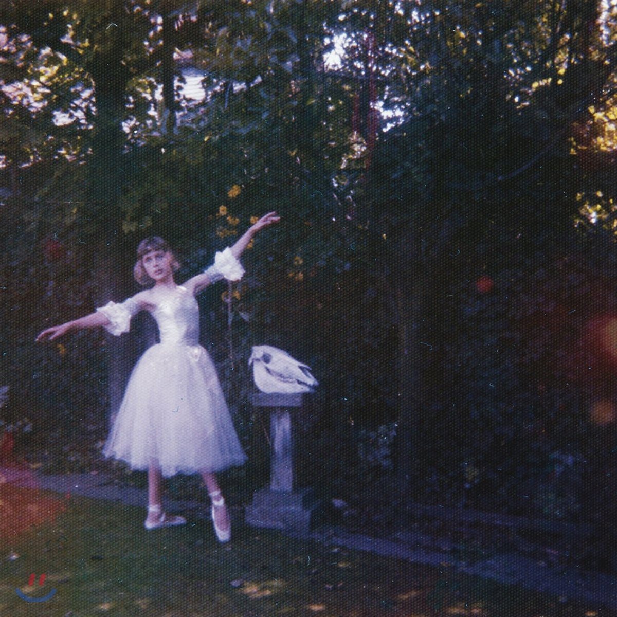 Wolf Alice (울프 앨리스) - Visions Of A Life [2LP]