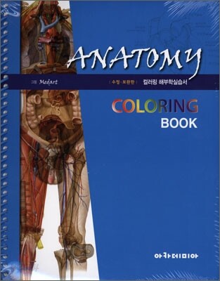 아니토미 ANATOMY