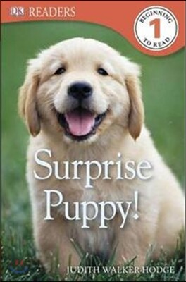 DK Readers L1: Surprise Puppy