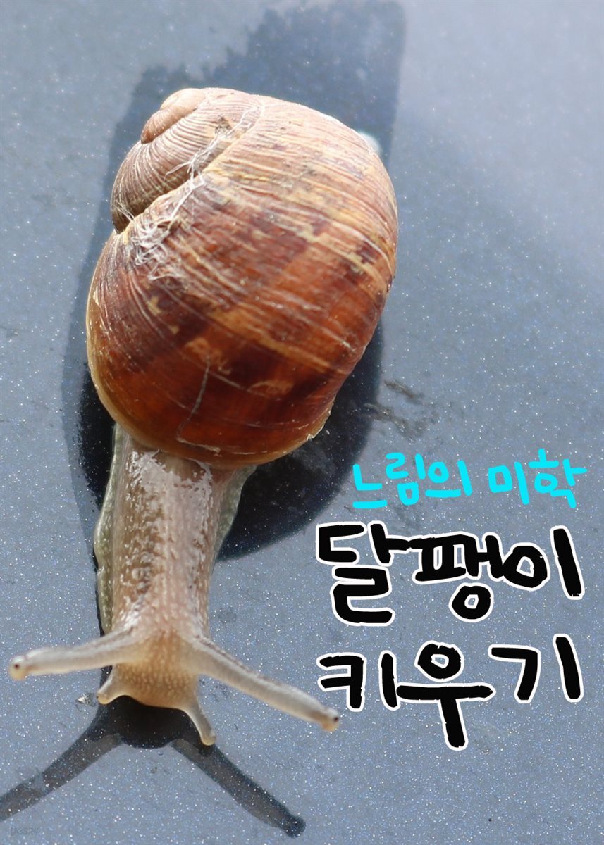 달팽이 키우기 : 느림의 미학