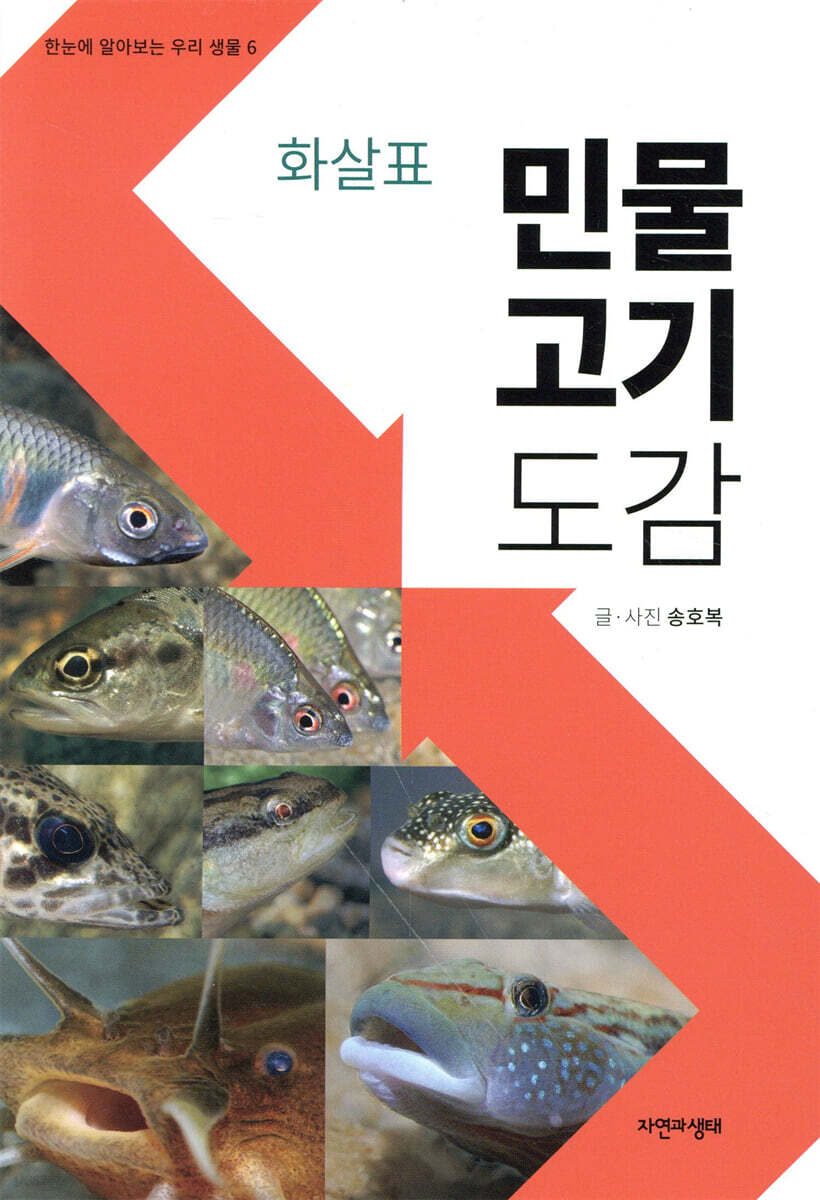 화살표 민물고기 도감