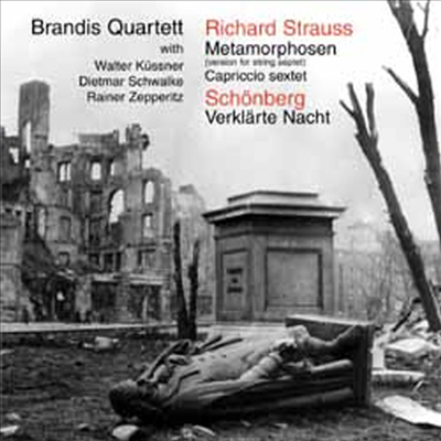 R. Ʈ콺 : Ÿ, 麣Ʈ : ȭ  (R. Strauss : Metamorphosen, Schonberg : Verklarte Nacht Op.4)(CD) - Brandis Quartett