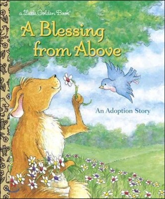 A Blessing from Above: An Adoption Story