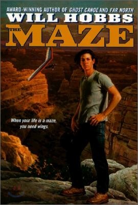 The Maze