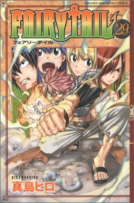 FAIRY TAIL 29