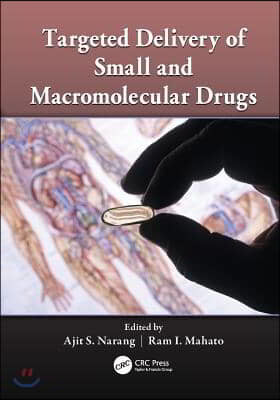 Targeted Delivery of Small and Macromolecular Drugs