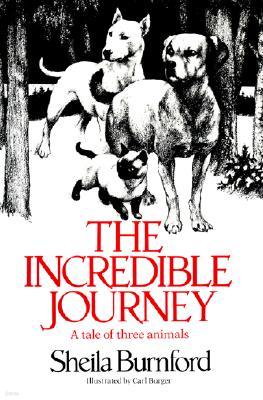 The Incredible Journey