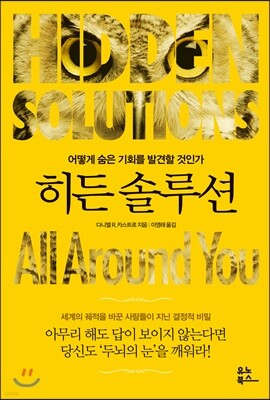 히든 솔루션