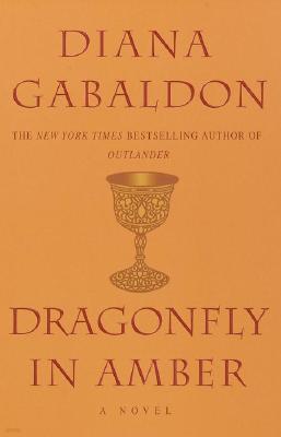 Dragonfly in Amber