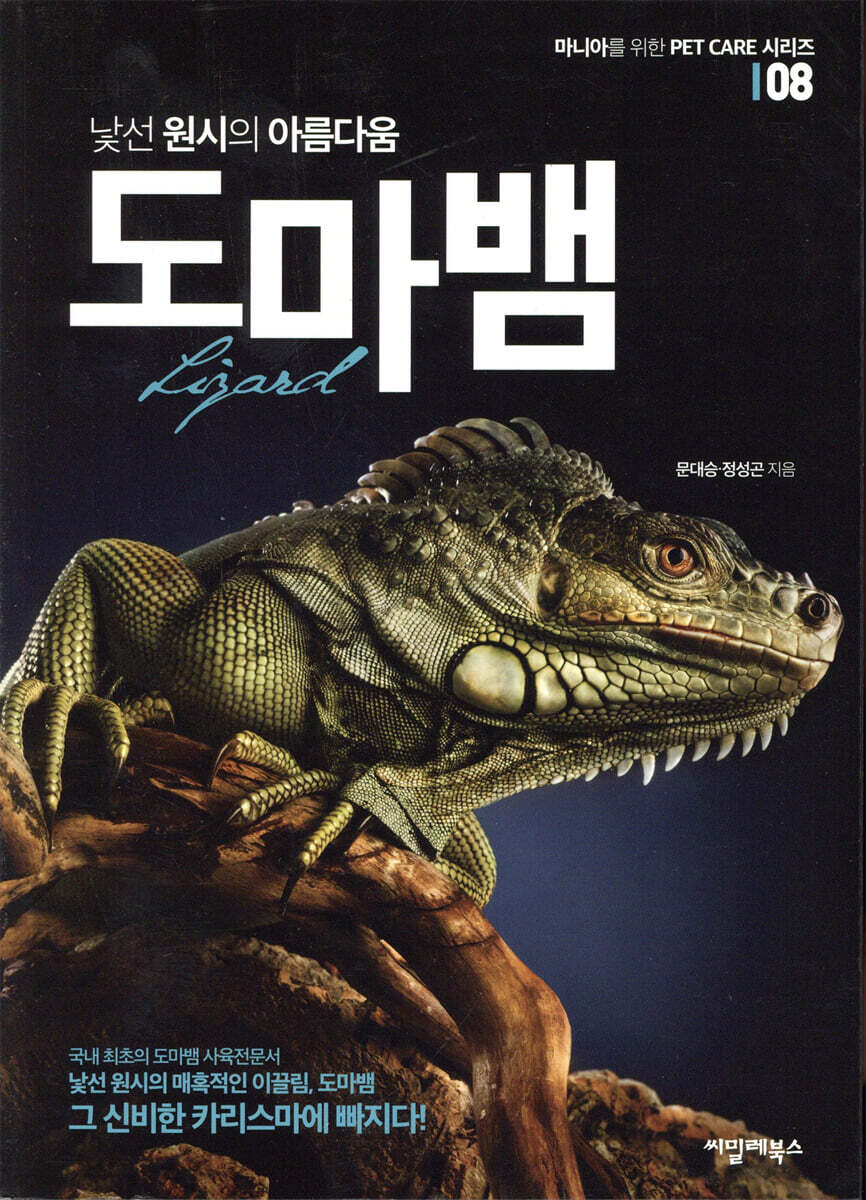 낯선 원시의 아름다움 도마뱀