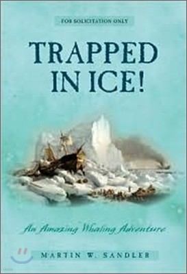 Trapped in Ice!