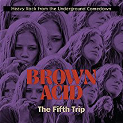 Various Artists - Brown Acid - The Fifth Trip (CD)