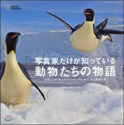 寫眞家だけが知っている動物たちの物語