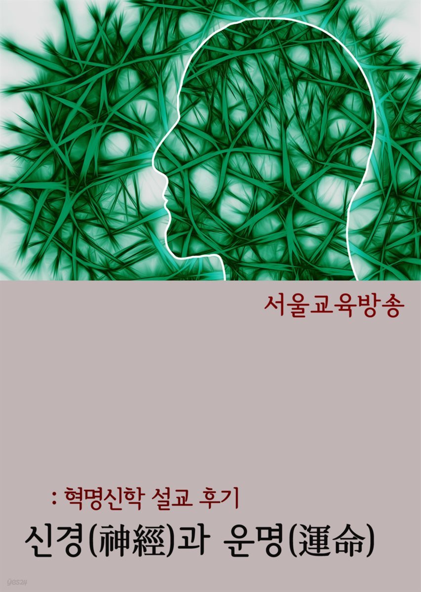 신경(神經)과 운명(運命) : 혁명신학 설교 후기