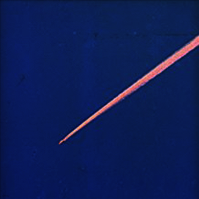 King Krule — The Ooz 앨범 커버