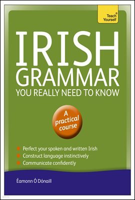 Irish Grammar You Really Need to Know