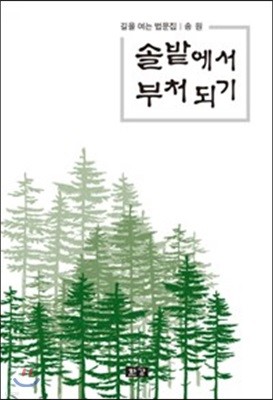 솔밭에서 부처 되기