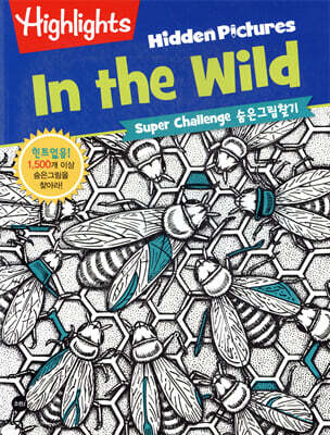 Highlights super challenge 숨은그림찾기 : In the Wild