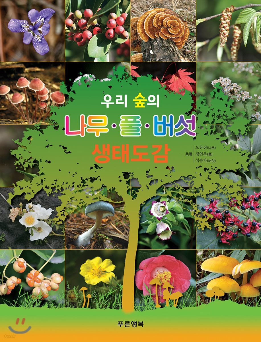 우리 숲의 나무ㆍ풀ㆍ버섯 생태도감