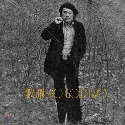김정호 — 2집 Gold Two 앨범 커버