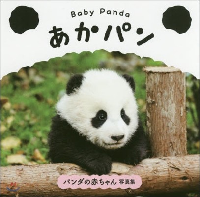 Baby Panda ѫ