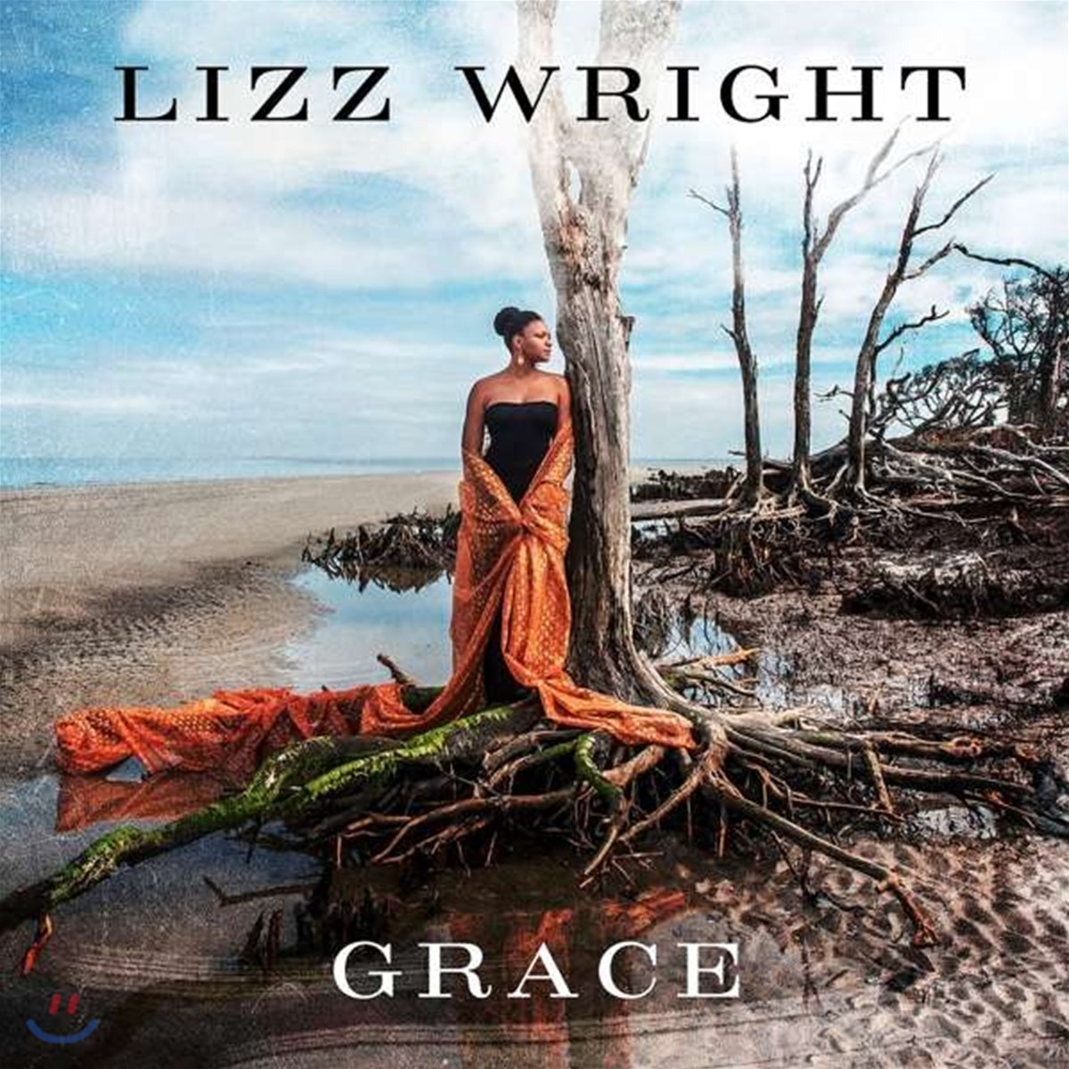 Lizz Wright (리즈 라이트) - Grace [LP]