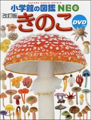 きのこ 改訂版 DVDつき