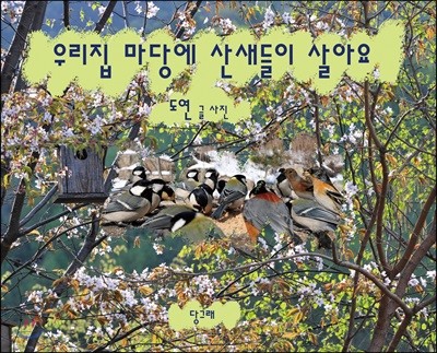 우리집 마당에 산새들이 살아요