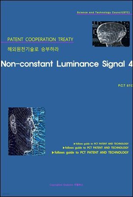 ؿܿõ º϶ Non-constant Luminance Signal 4