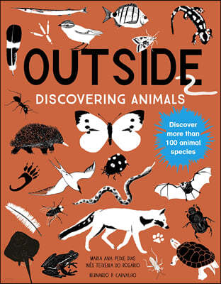 Outside: Discovering Animals